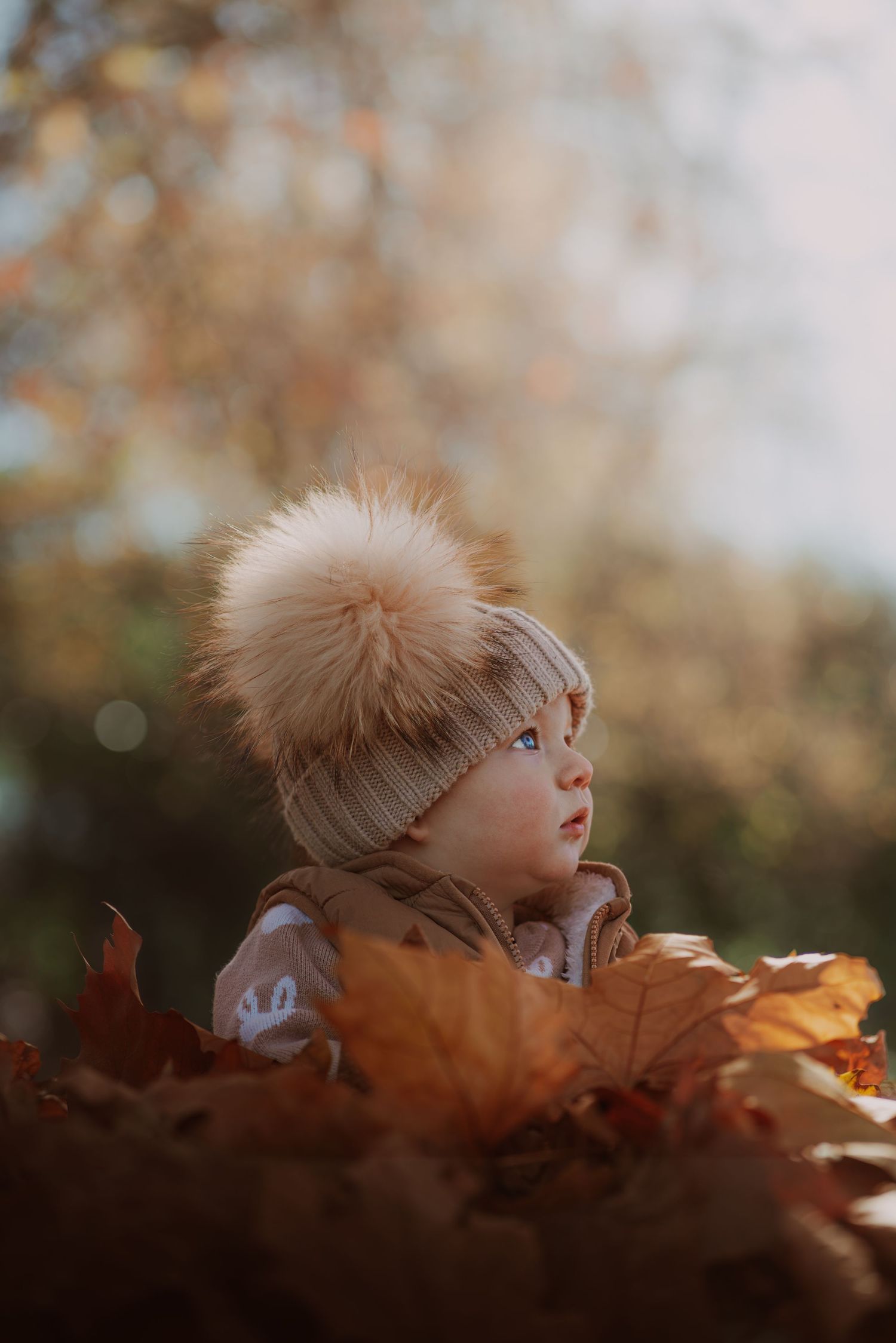 A cute baby wearing a beige pom-pom hat sits among autumn leaves in a warm golden outdoor setting. photo session
