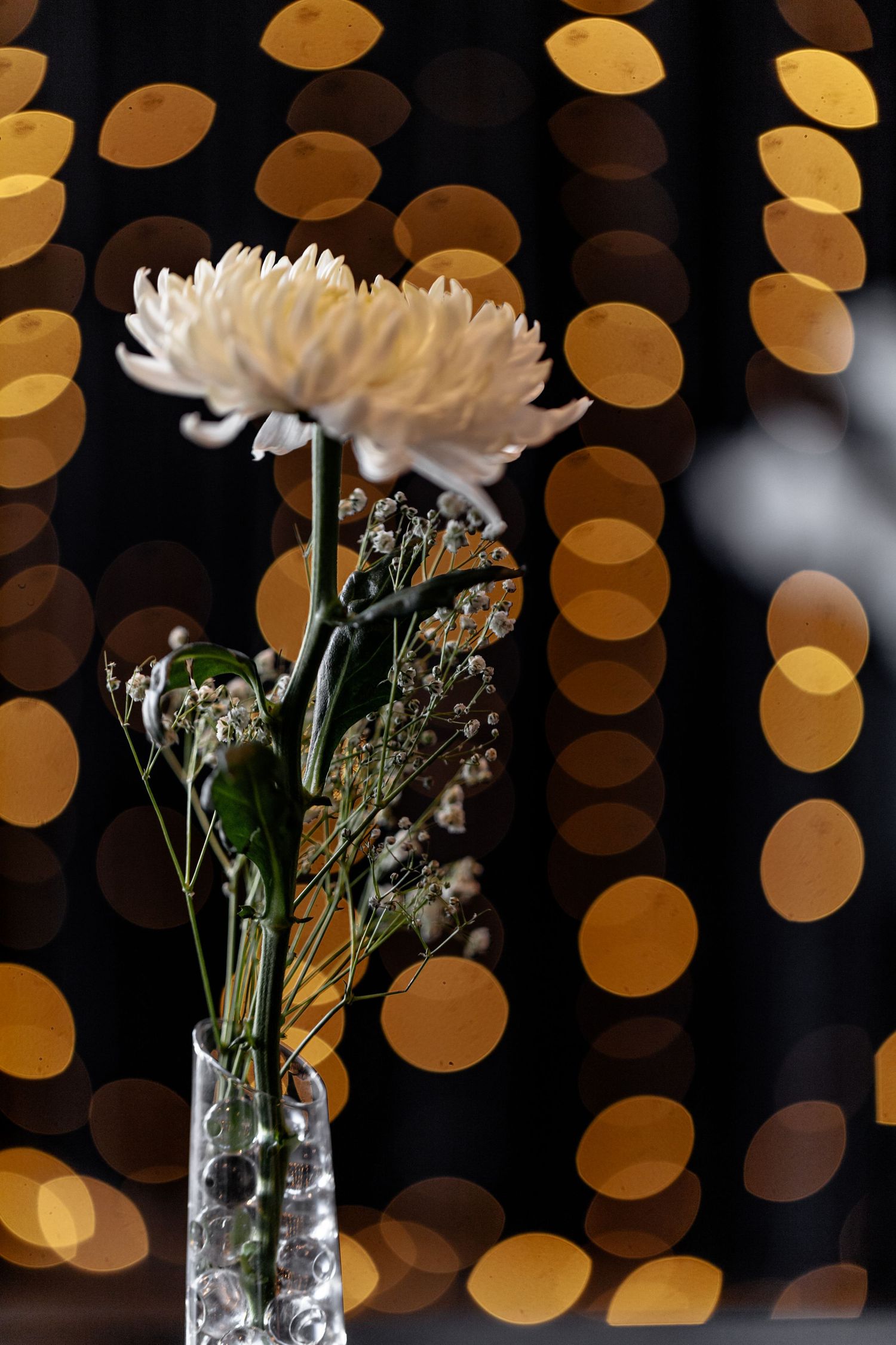 White chrysanthemum flower in crystal vase with bokeh lights creating magical golden circles in dark background.