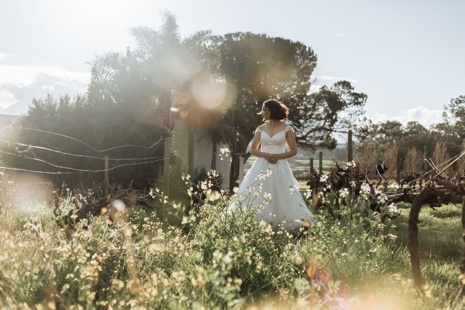A sun-drenched garden setting with tall trees and ethereal sunlight creating a dreamy summer atmosphere.