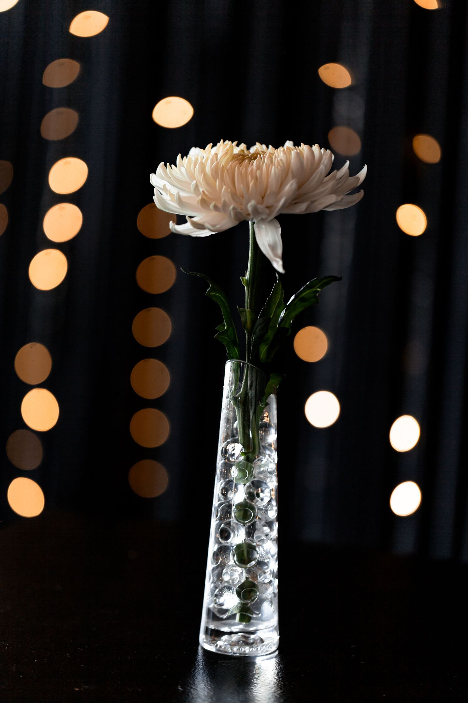 A white chrysanthemum flower in a crystal vase against a dark background with blurred golden bokeh lights.