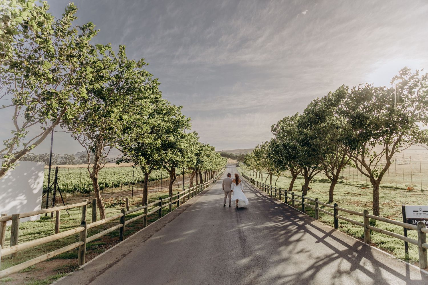 Couple walking down a tree-lined driveway at a scenic vineyard wedding venue.