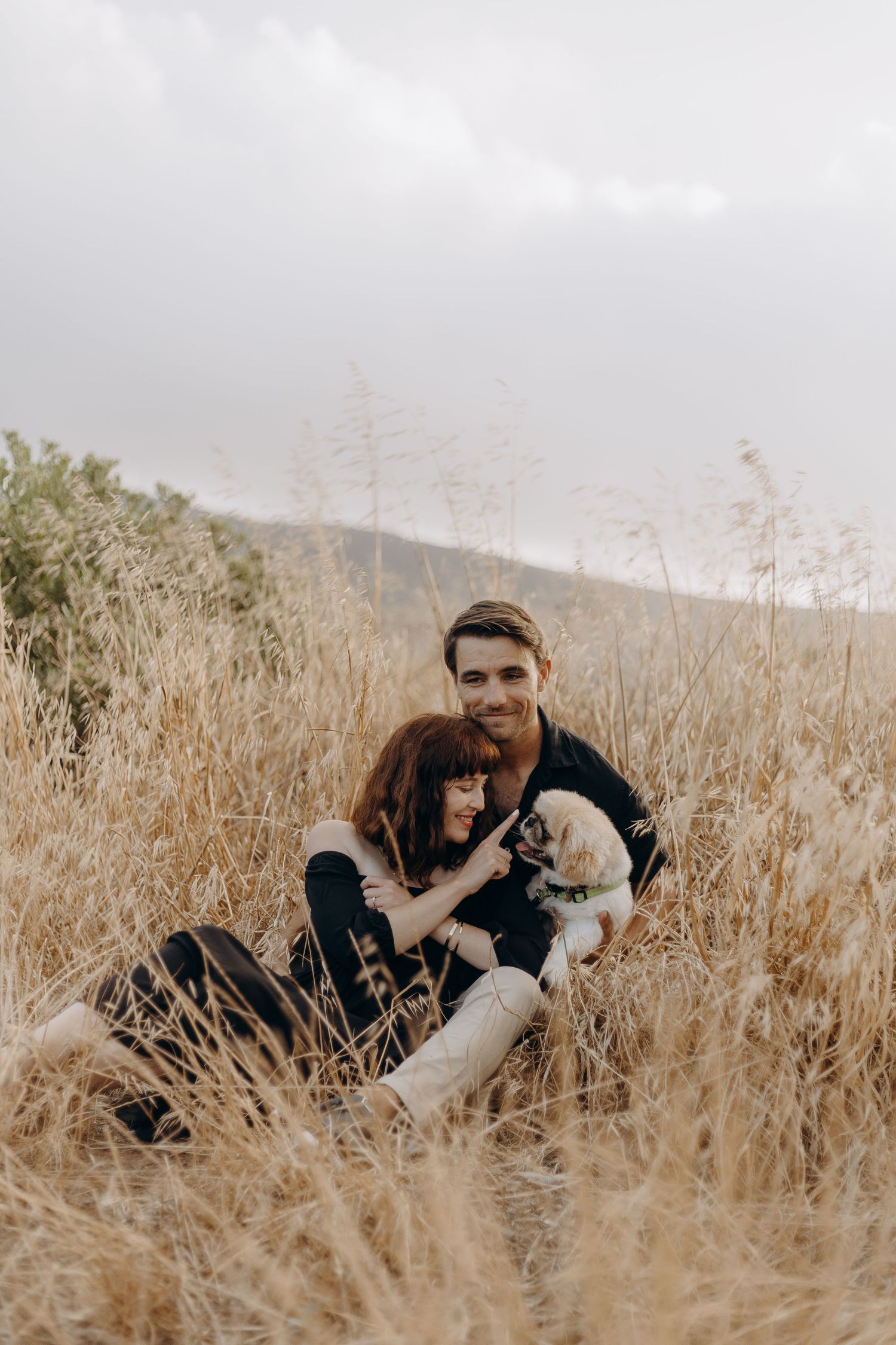 A person in black clothing lies in a golden wheat field on an overcast day, cuddling with a small white dog.