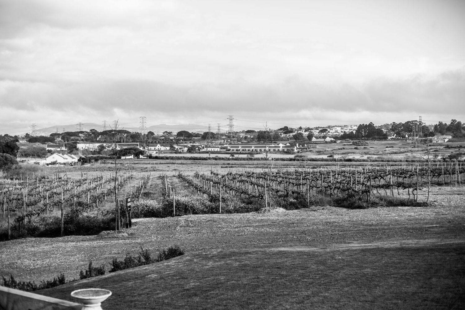 Historic black and white panoramic landscape photograph showing agricultural fields and a distant town on the horizon.