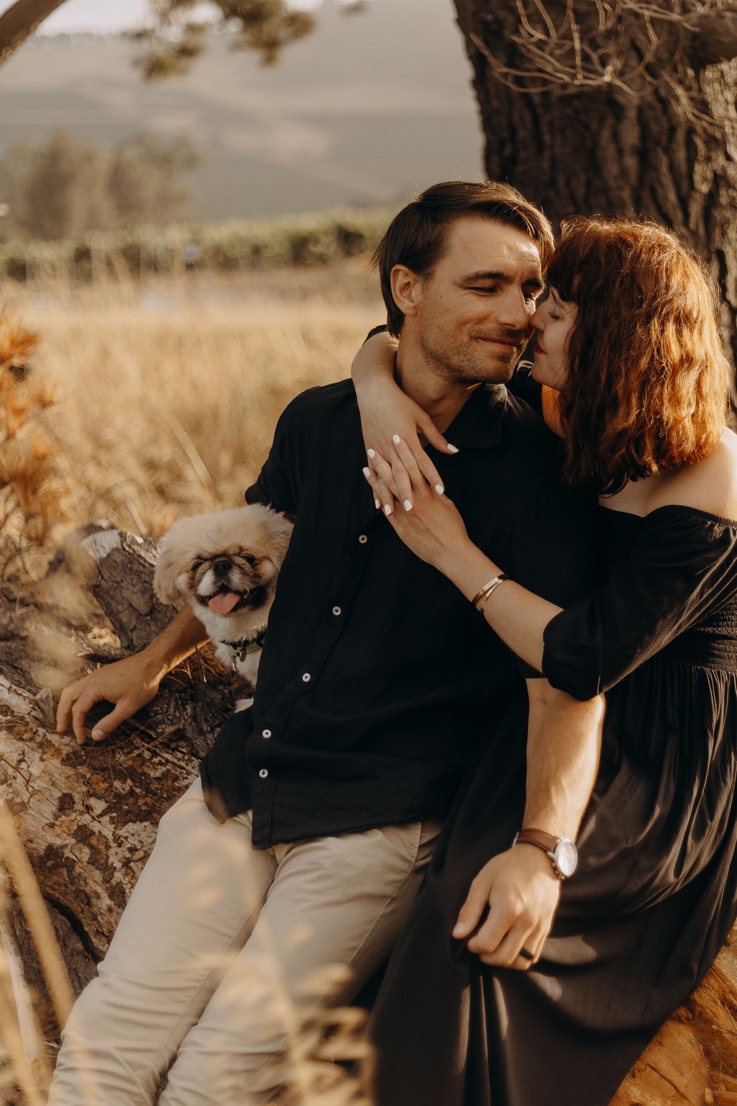 A romantic couple in black and white outfits embrace against a tree during a warm golden sunset in a field.