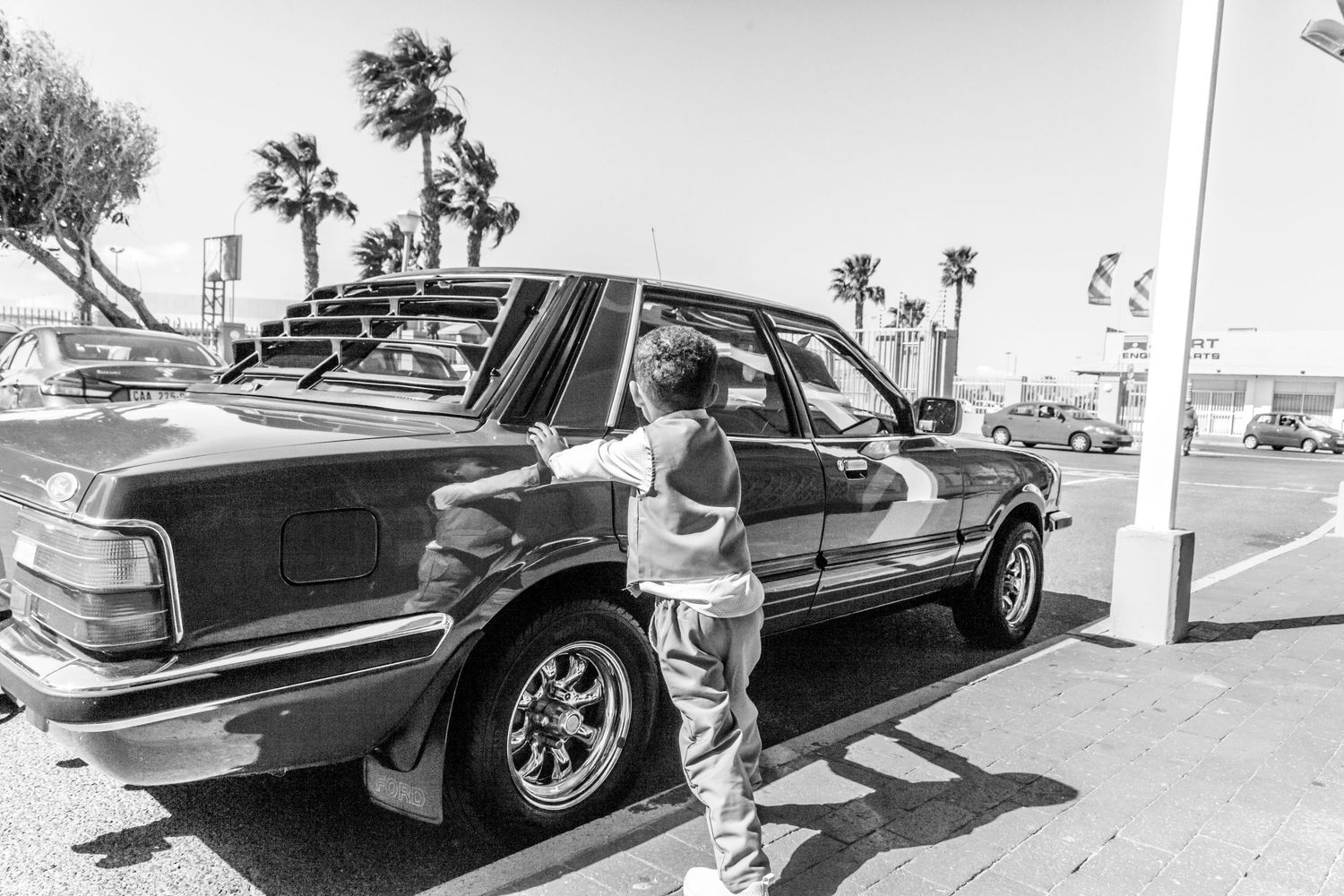 Low-angle view shows multiple classic cars lined up at a car show on a sunny day with palm trees in background.
