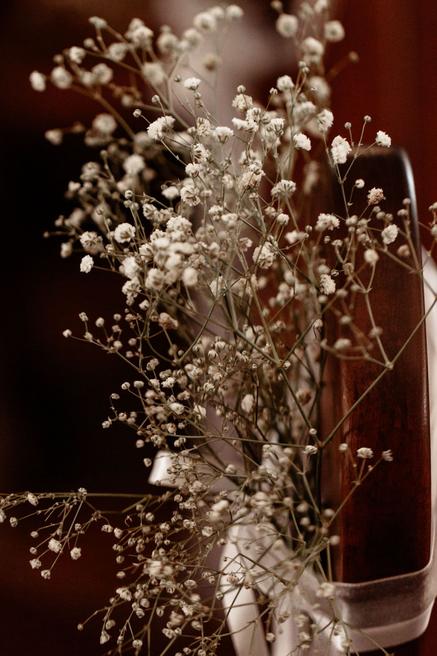 Delicate white baby's breath flowers arranged in a glass vase against a dark brown background.