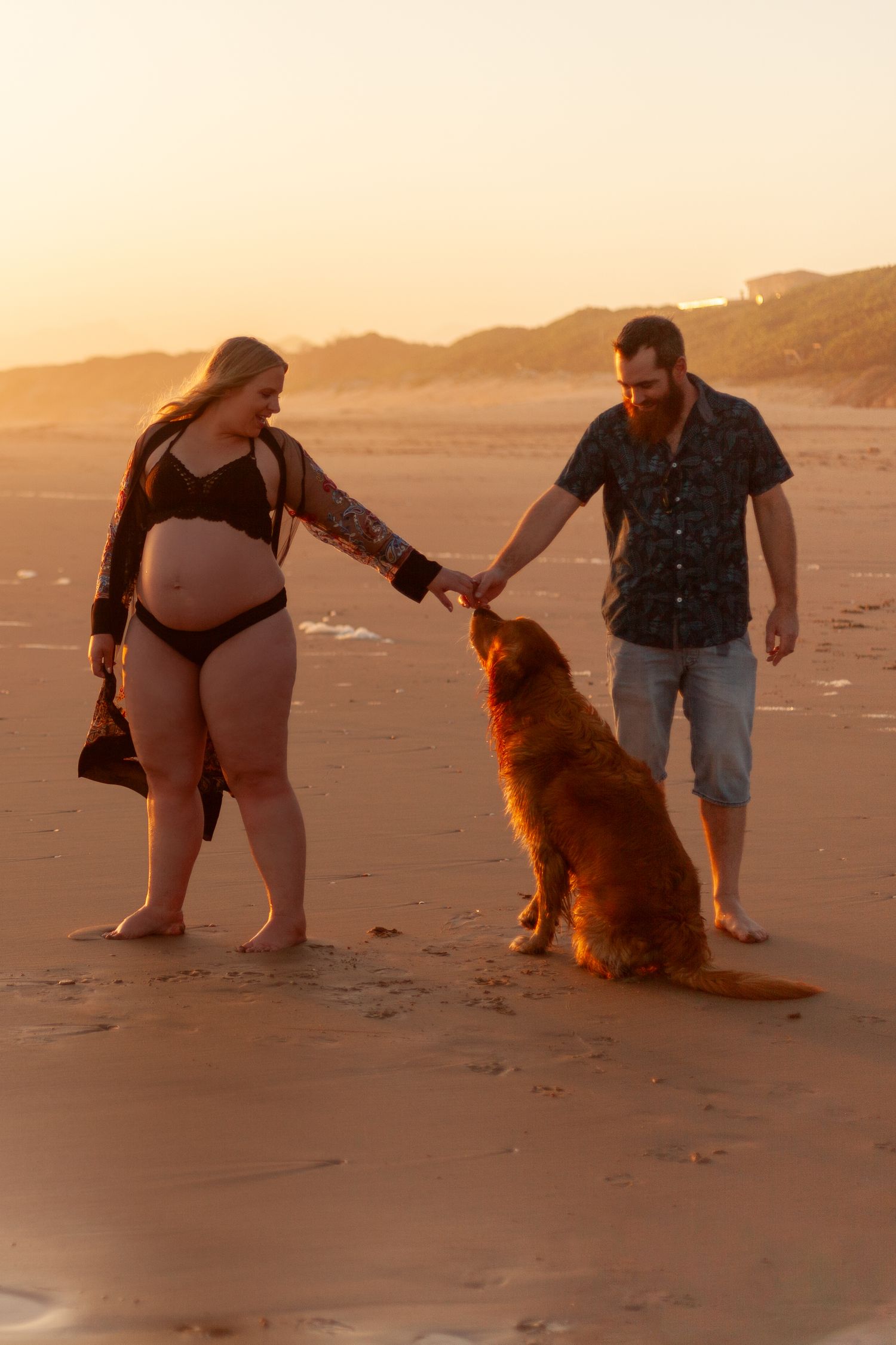 A sequence of photos showing a person and dog playing together on a beach at sunset.