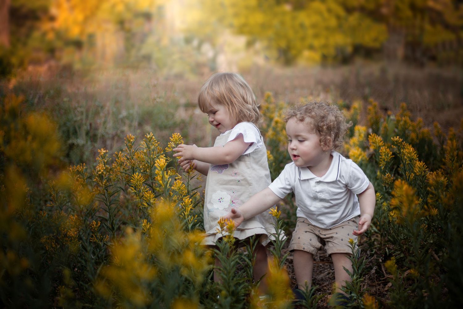 Two small children explore a meadow filled with vibrant yellow wildflowers on an autumn afternoon.
