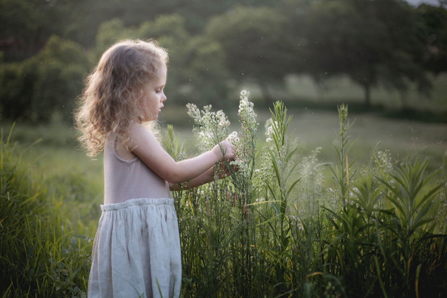 A child in a white dress explores a field of tall wildflowers and grasses at sunset.