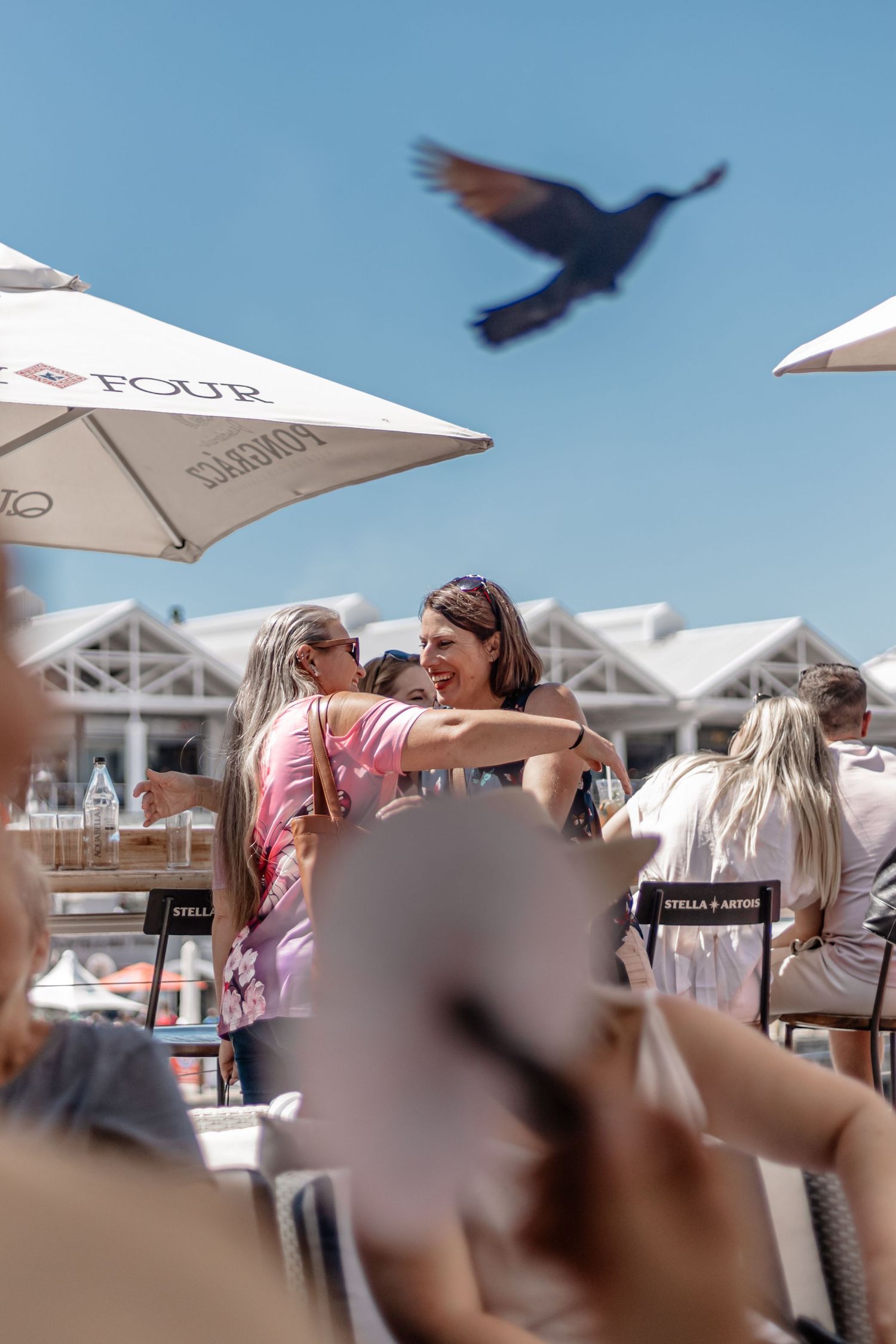 People enjoying an outdoor patio with white umbrellas while a bird flies overhead against a bright blue sky.