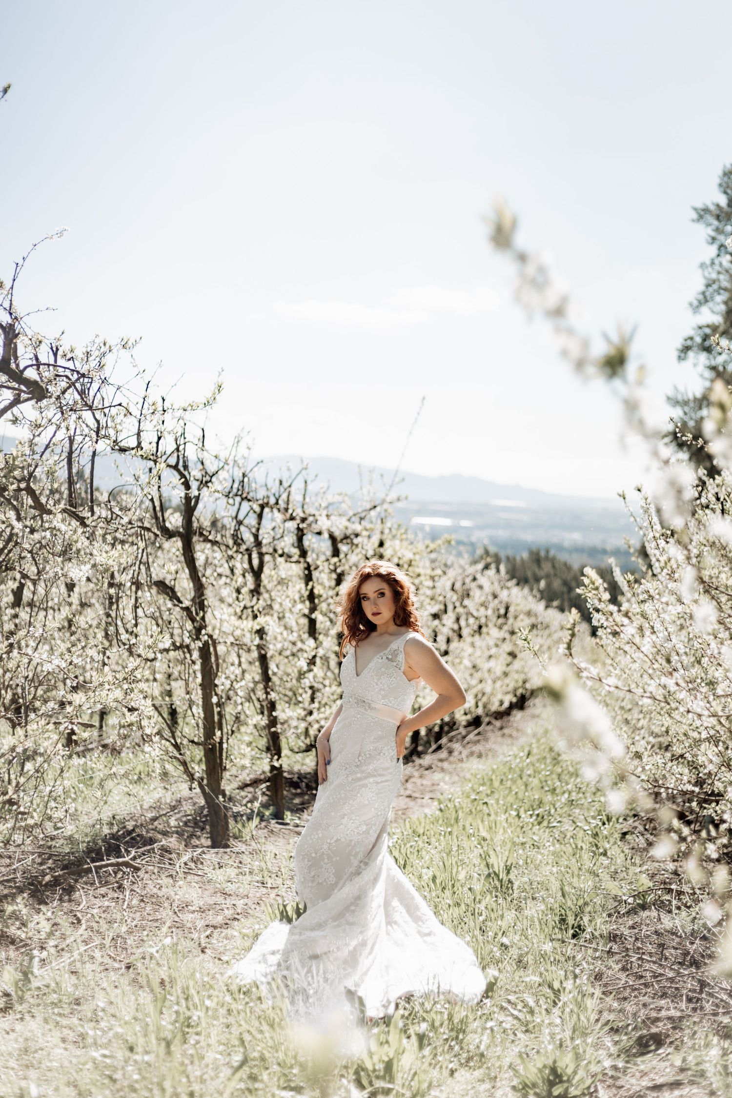 A bride in a flowing white gown twirls beneath blooming spring cherry blossoms in an orchard on a sunny day.