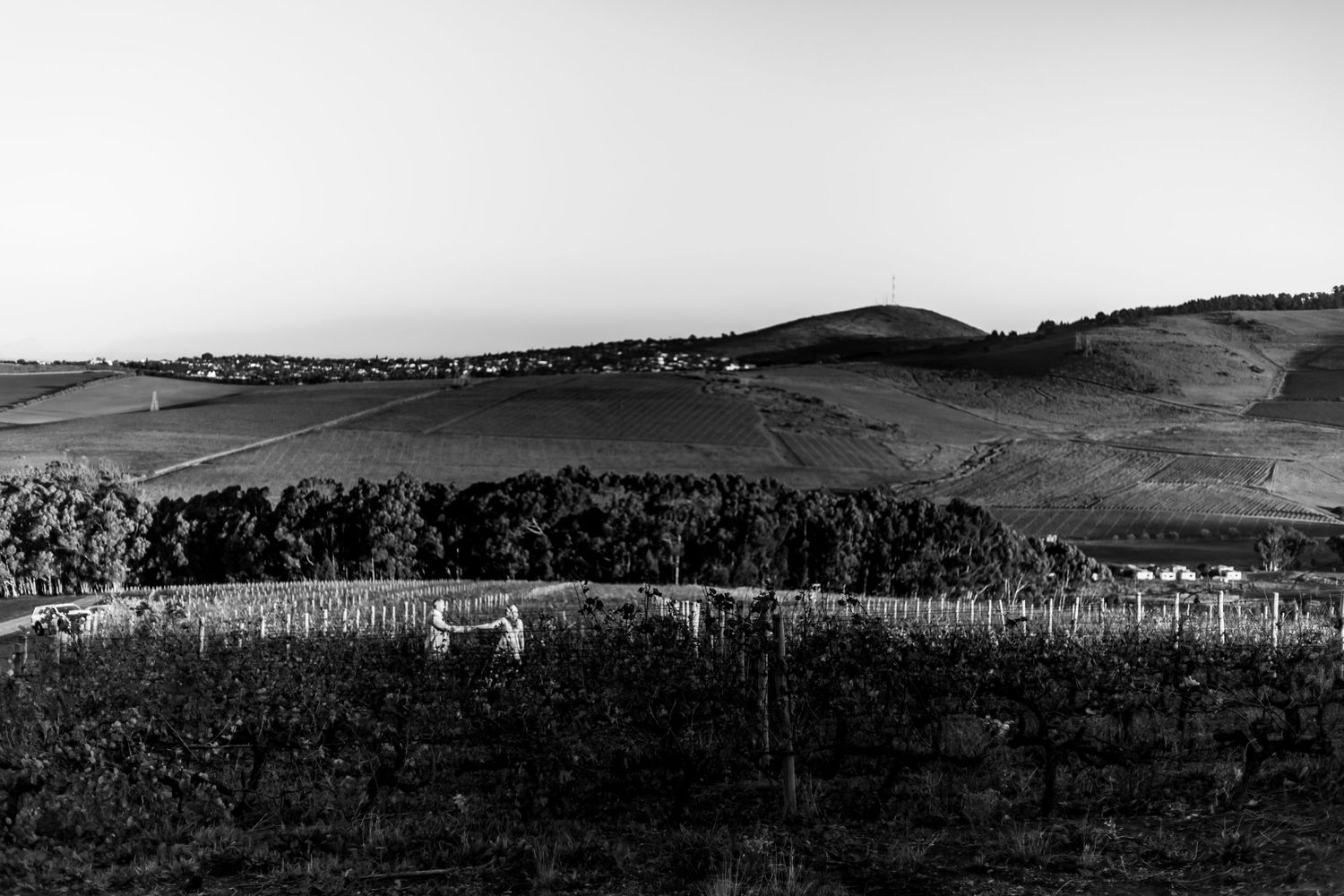 A panoramic view of rolling hills with fields, trees and scattered buildings across a rural landscape.