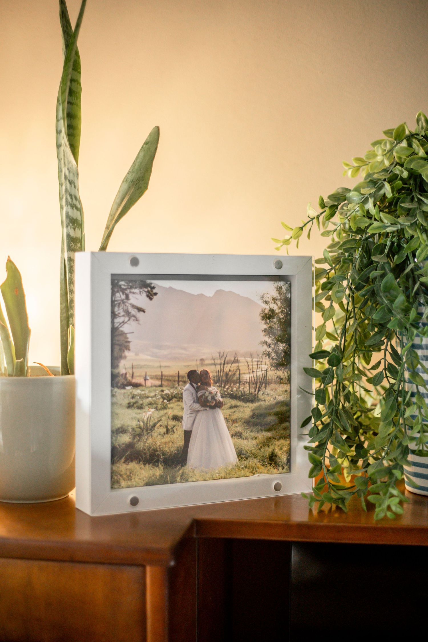 A framed wedding photograph displayed on a wooden table with green potted plants decorating the scene.