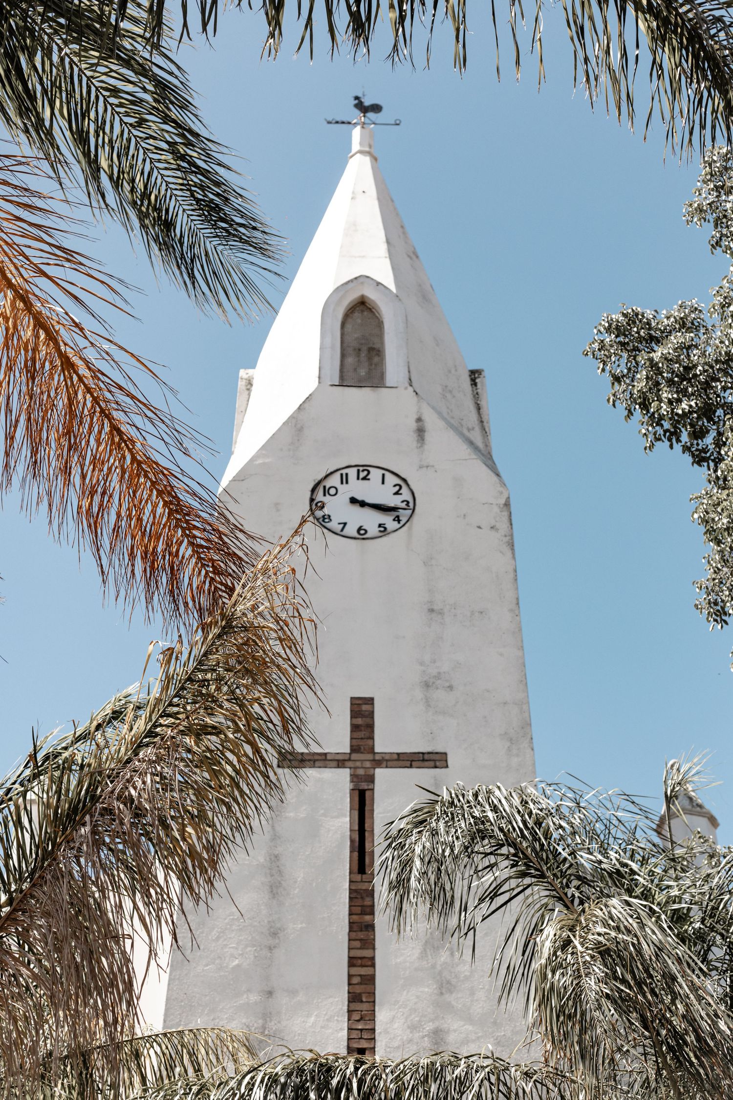 White church steeple with cross and clock tower rises between palm fronds against clear blue sky.