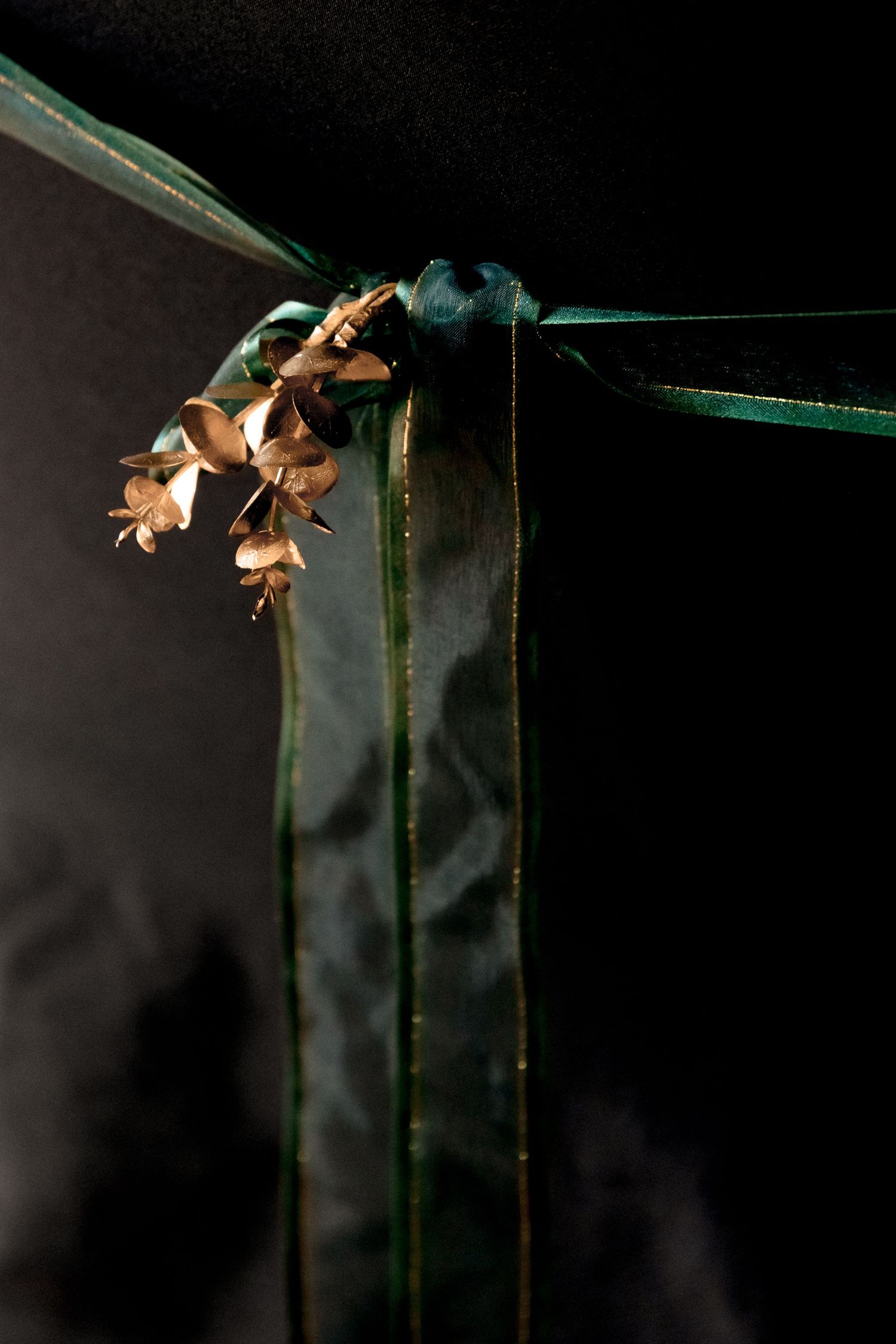 Dried brown flowers or seed pods attached to a dark green stem against a black background.
