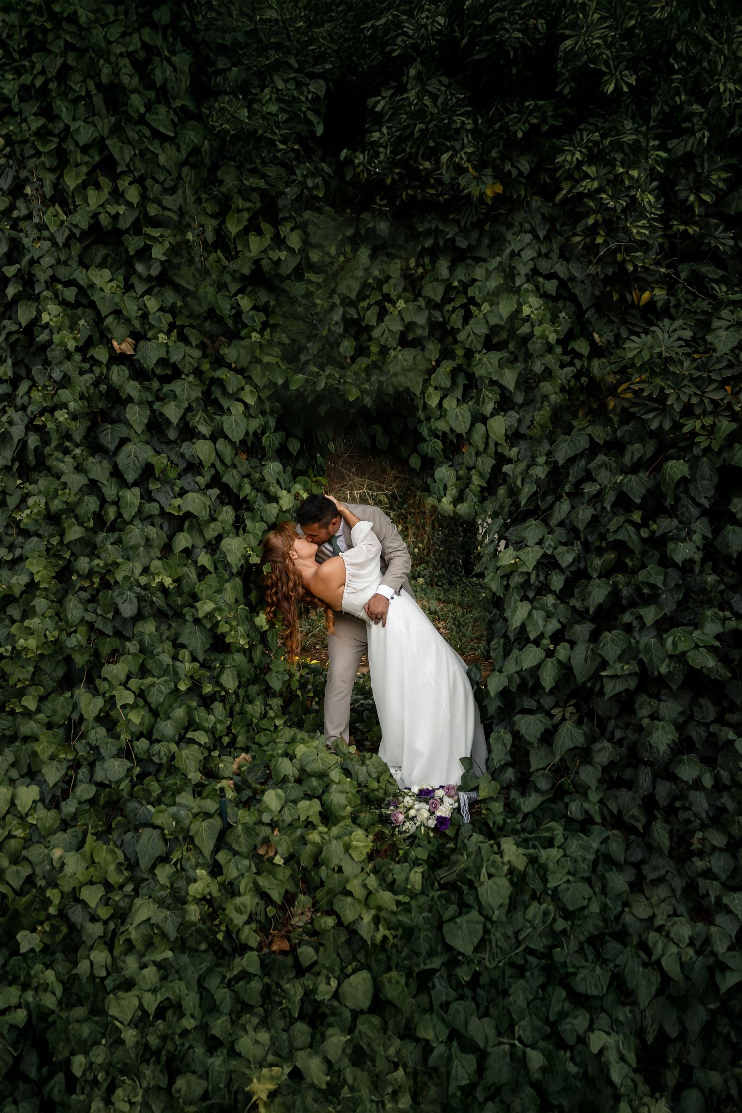 A couple in wedding attire embraces surrounded by lush green ivy foliage in a romantic garden setting.