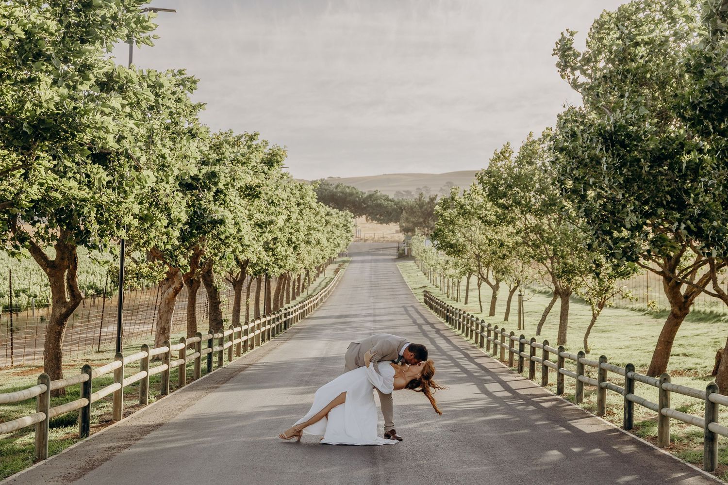 Couple sharing a romantic dip kiss on a tree-lined road at a vineyard wedding venue.
