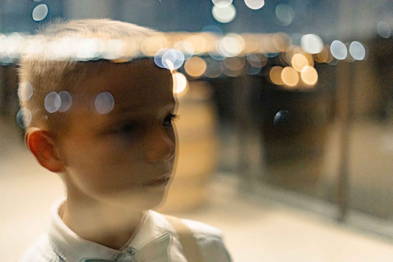 Close-up photo with bokeh lights creating a soft, dreamy background effect.