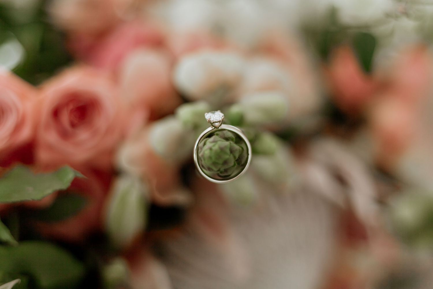 A collection of pink roses with leaves and greenery captured in soft focus with bokeh lighting effects.
