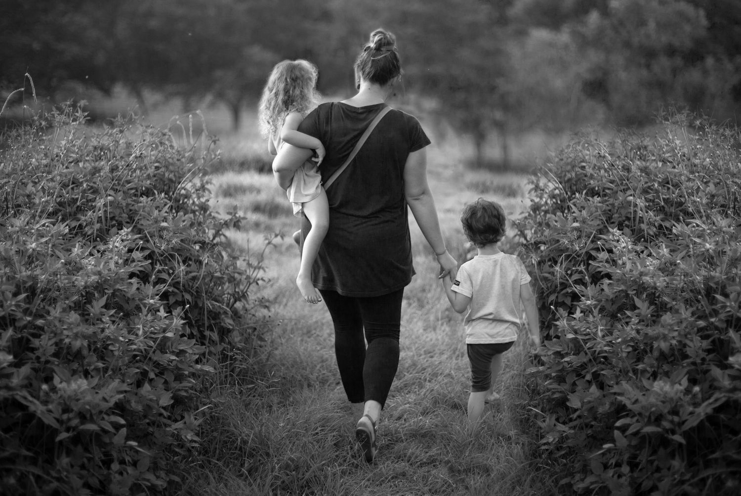 Black and white photo of people walking together through a garden path surrounded by bushes.