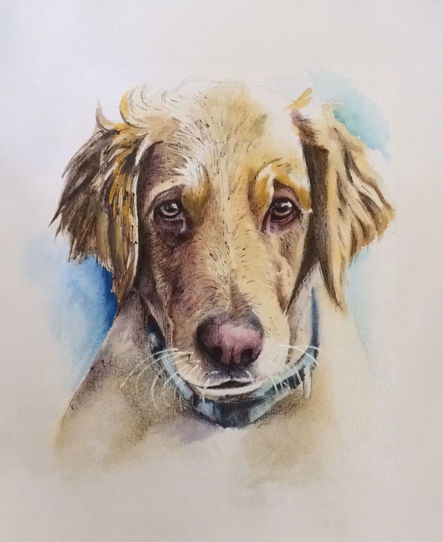 Watercolor painting of a golden retriever with expressive brown eyes and gentle expression.