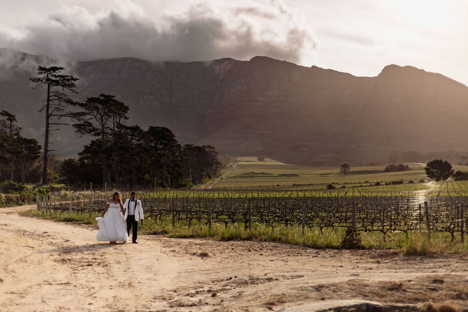 A panoramic view of vineyards and mountains in a wine region during golden hour with dramatic clouds overhead.