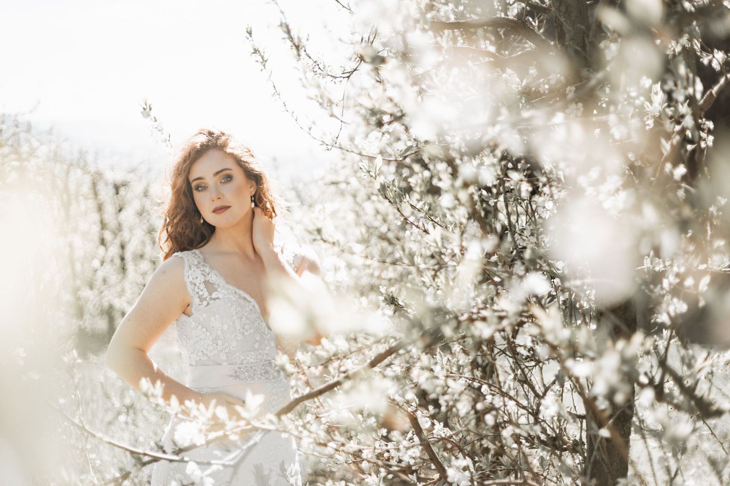 Beautiful spring photo session among blooming white cherry trees with soft sunlit bokeh effect in the background.
