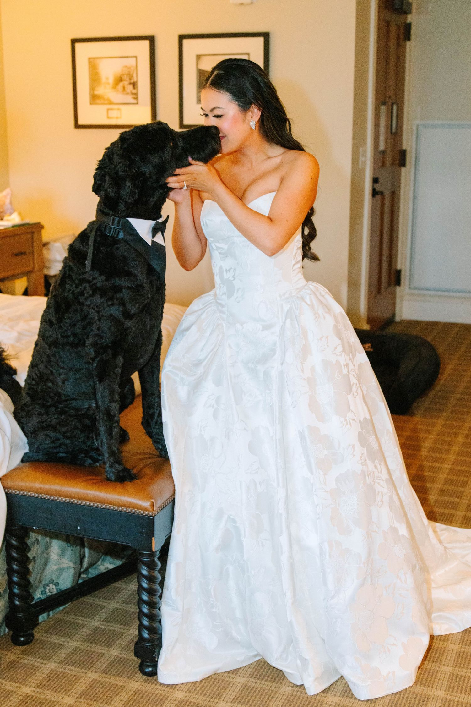 Bride in a strapless white ballgown sharing a sweet moment with her black curly-haired dog.
