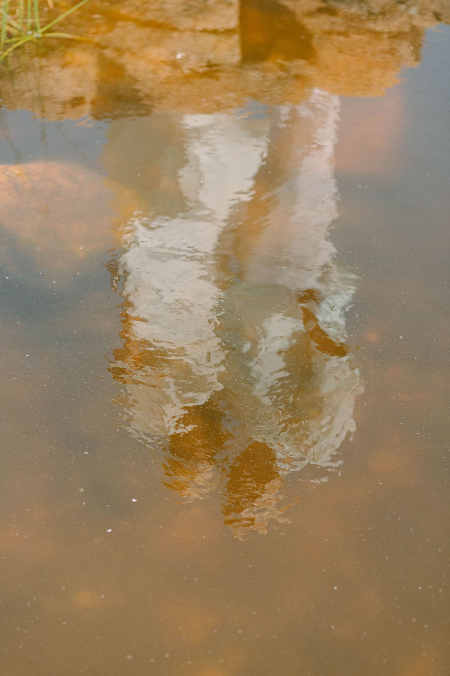 Rippling water reflection of a person standing near rocks in a shallow muddy pond.