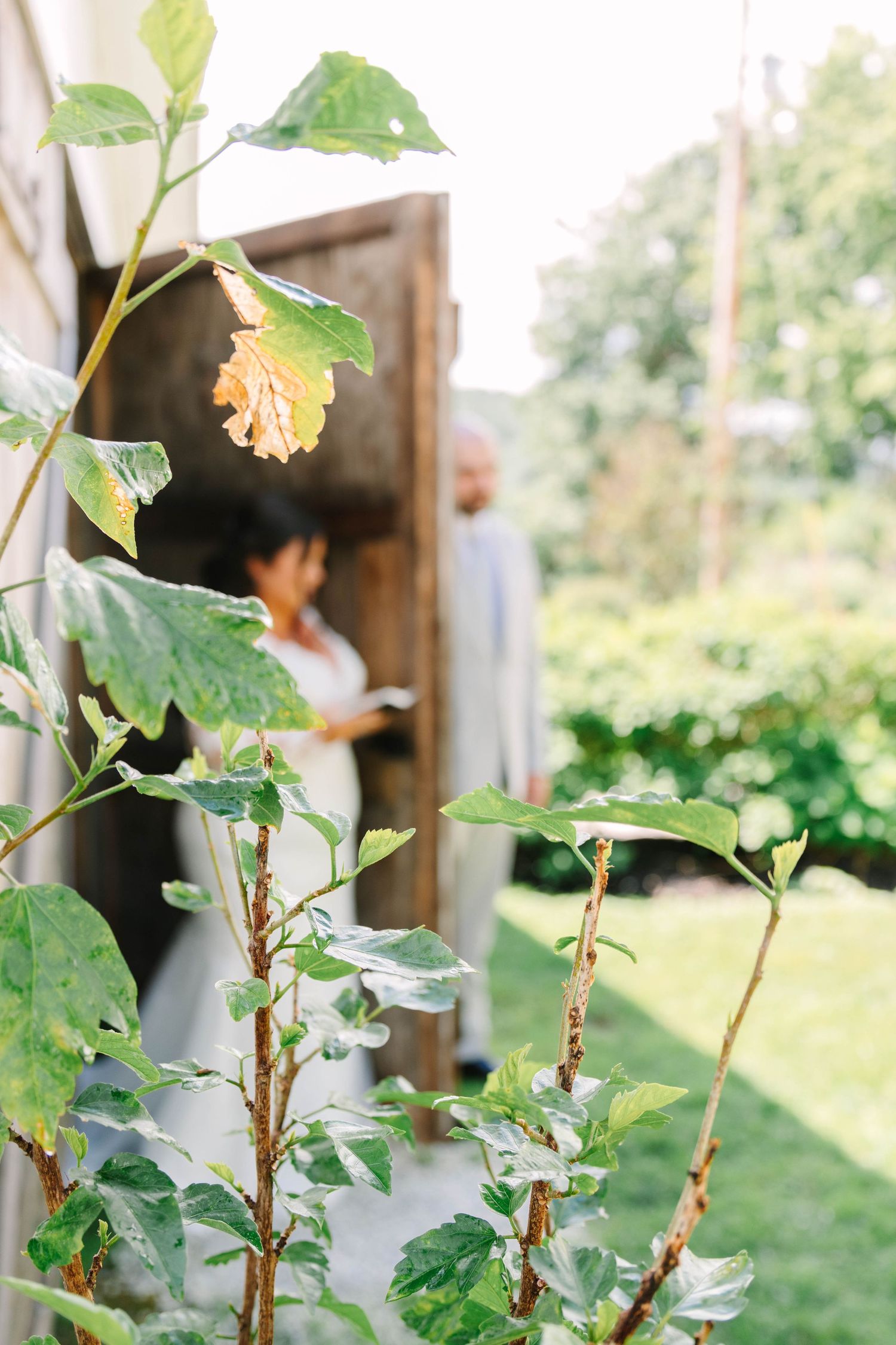 Bride and groom sharing private moment framed by green garden foliage.