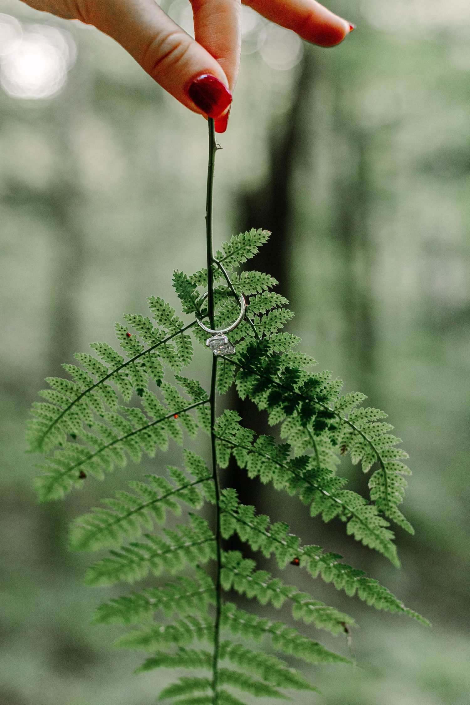 Hand with red nails holding a fern frond with an engagement ring on it in a forest.