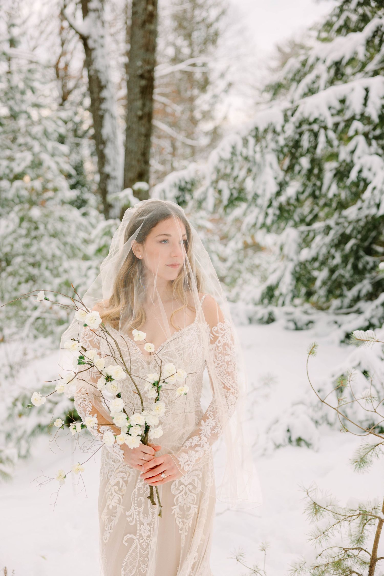 Bride in lace wedding dress and veil gazes aside holding white floral branches in snowy pine forest.