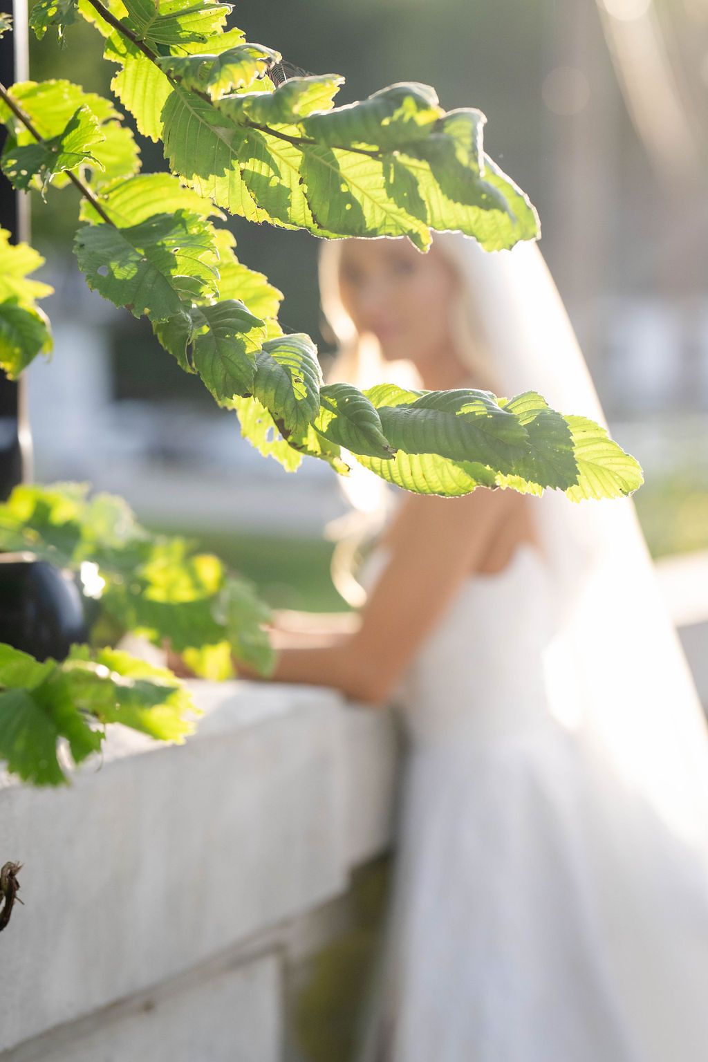 Bride in white wedding gown and veil softly framed by sunlit green leaves on a balcony.