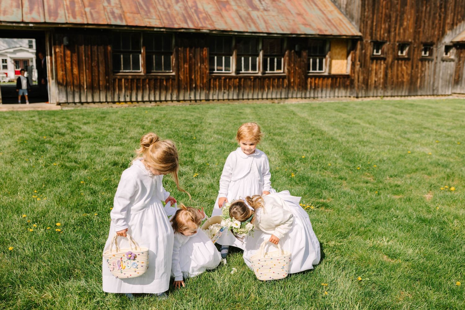 Flower girls in white dresses playing on green grass in front of a rustic barn.
