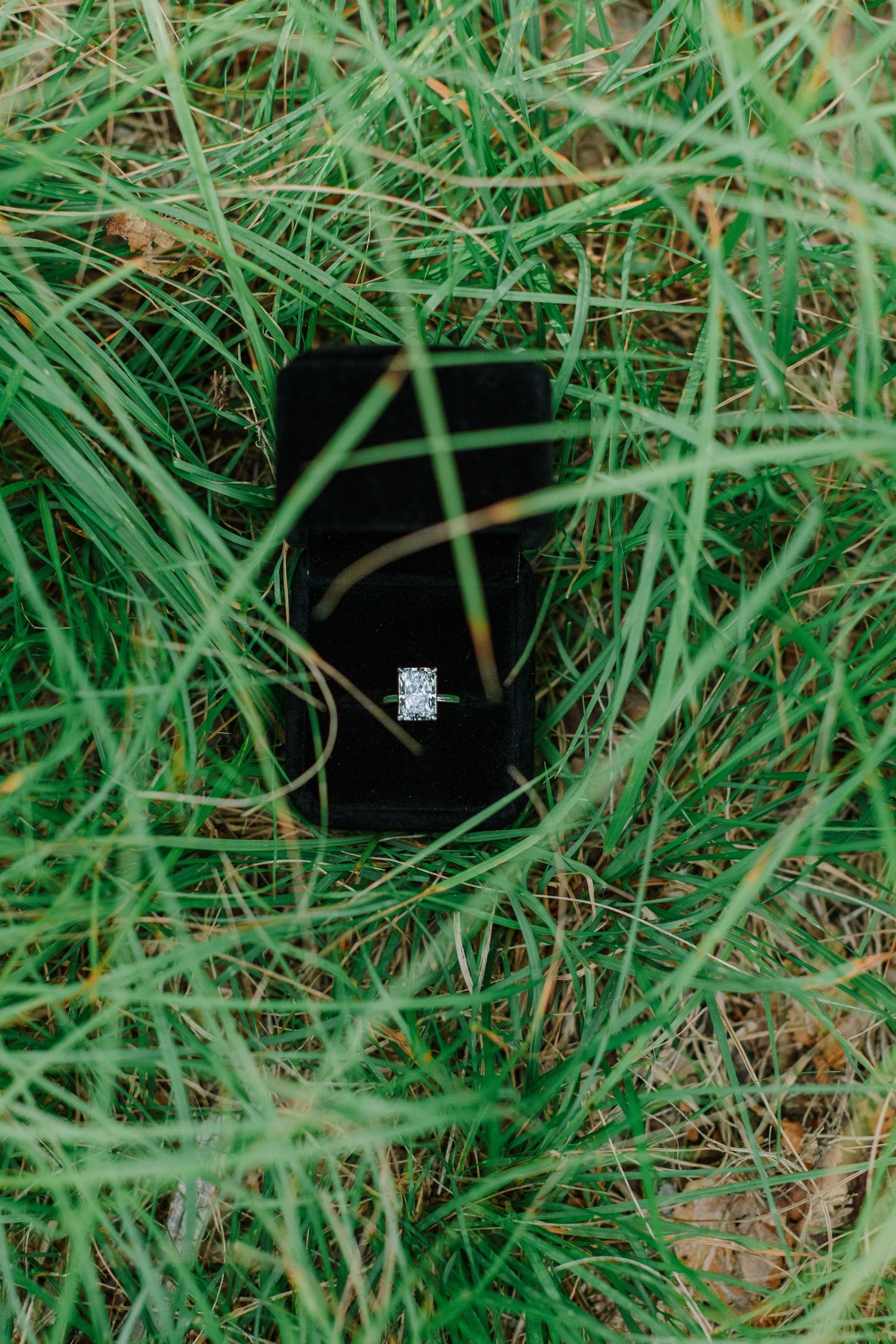 A diamond engagement ring in a black velvet box nestled in lush green grass outdoors.