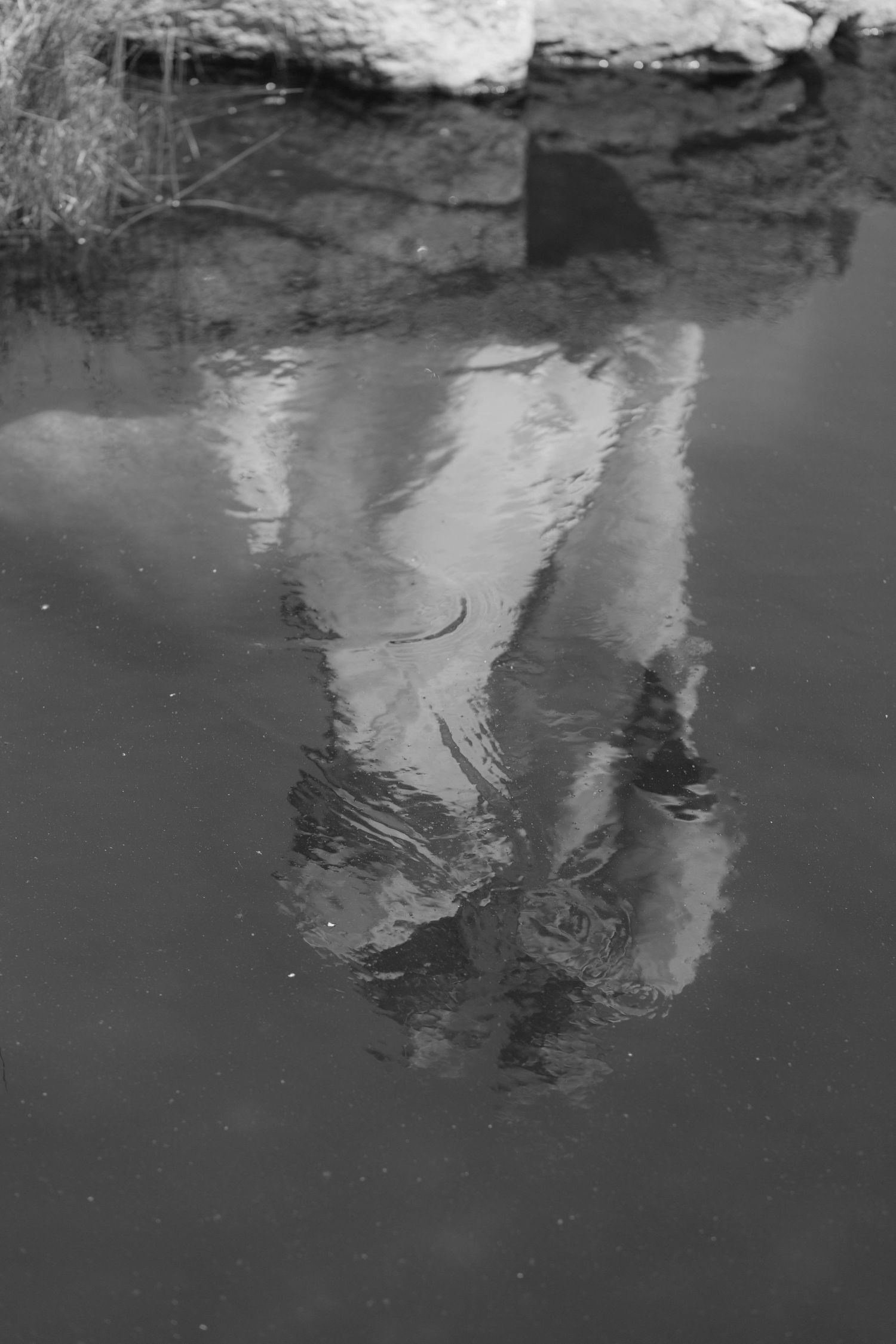 Black and white reflection of a couple in a tidal pool on rocky New England coastline.