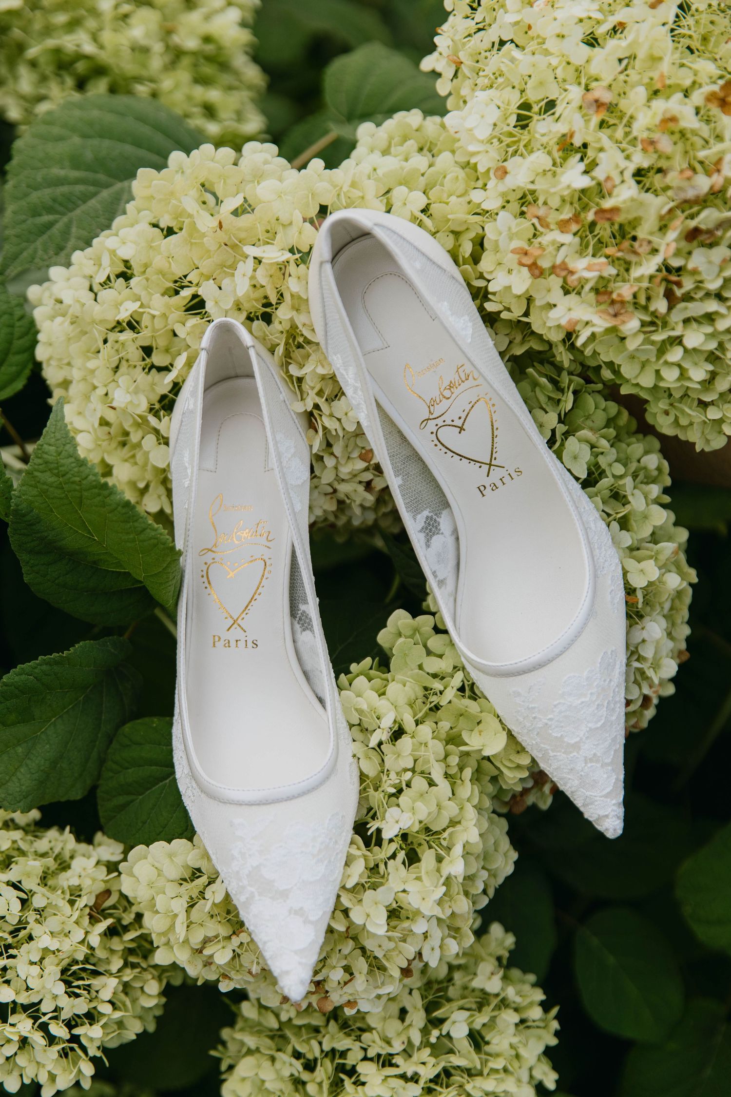 White lace bridal heels with gold Paris logo displayed on green hydrangea flowers.