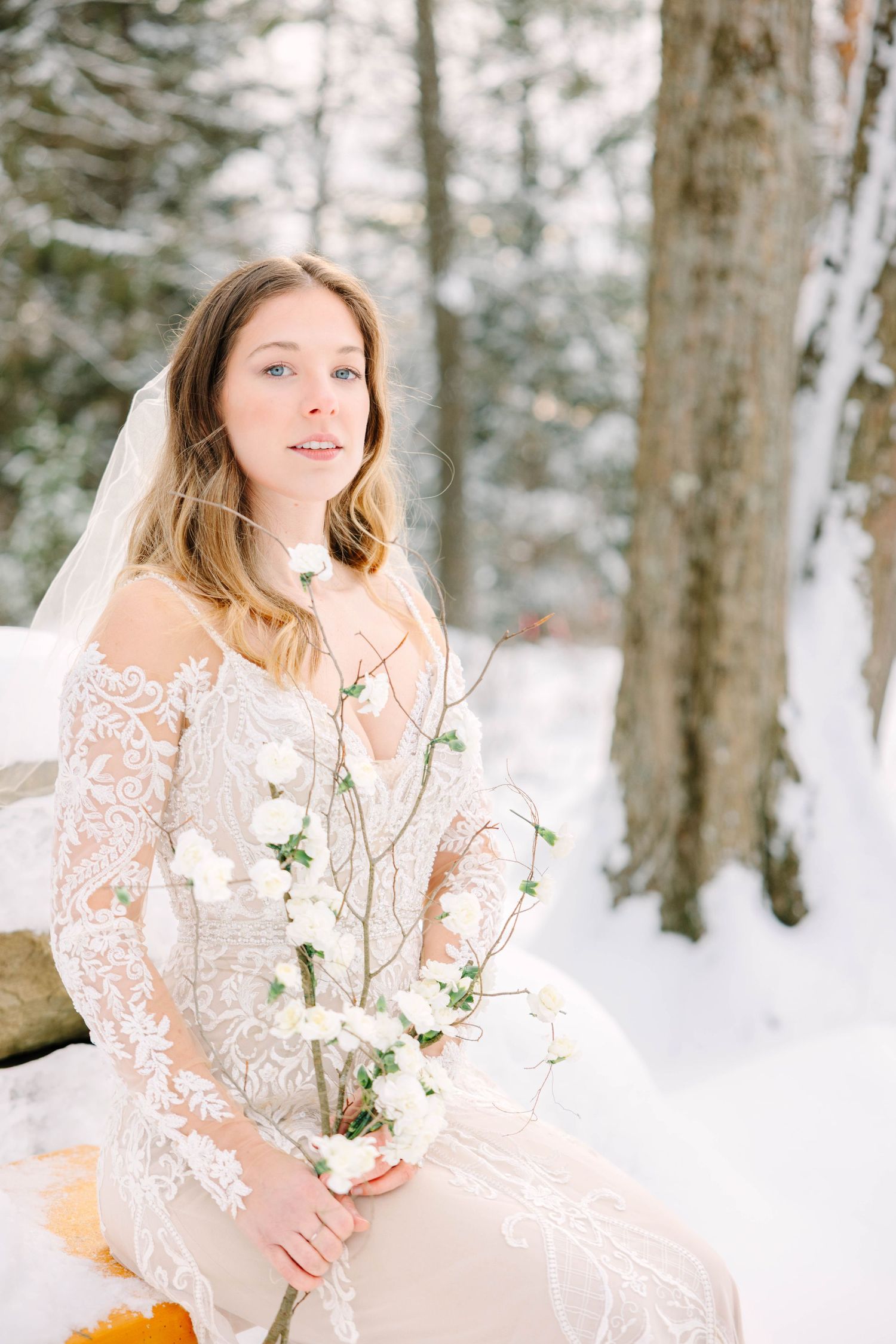 Bride in lace gown with veil sits outdoors holding white floral branches amid a serene snowy forest backdrop.
