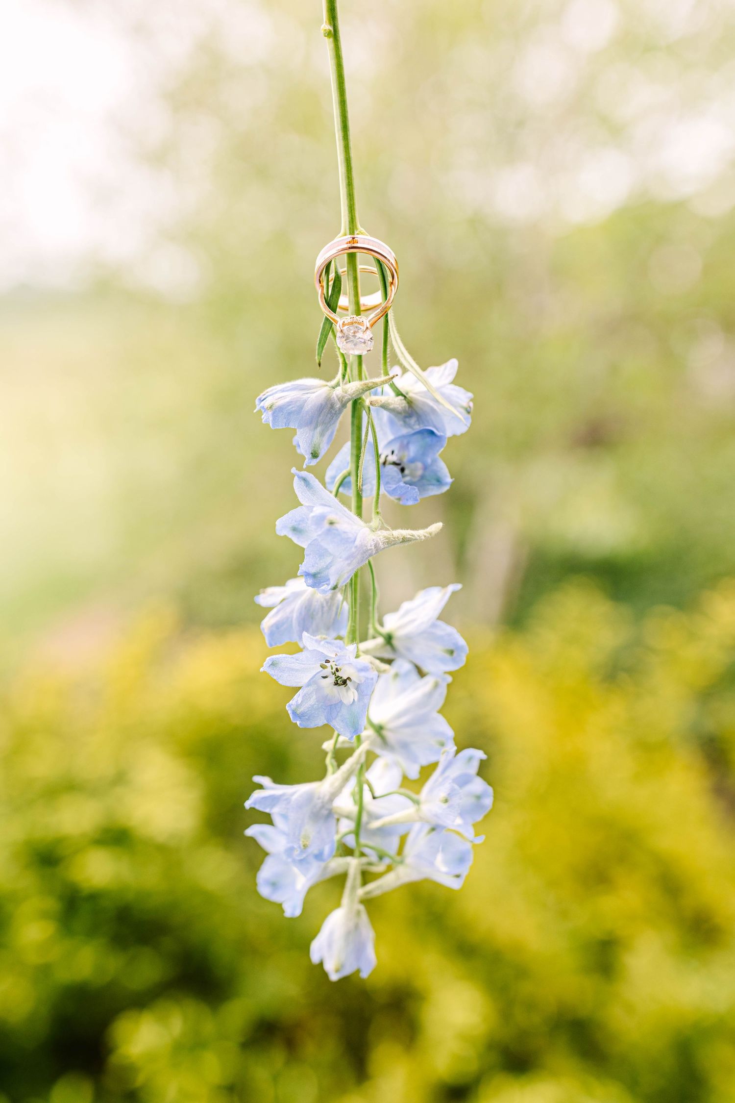 Gold wedding rings and engagement ring displayed on delicate blue delphinium flowers against a soft green background.