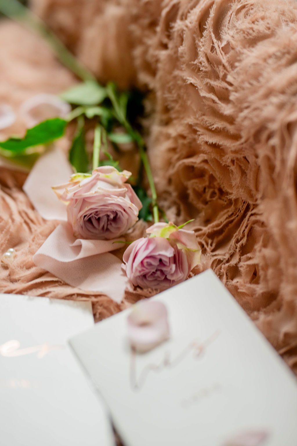 Dusty pink roses on a fluffy tan textured blanket with a ribbon and elegant stationery card.
