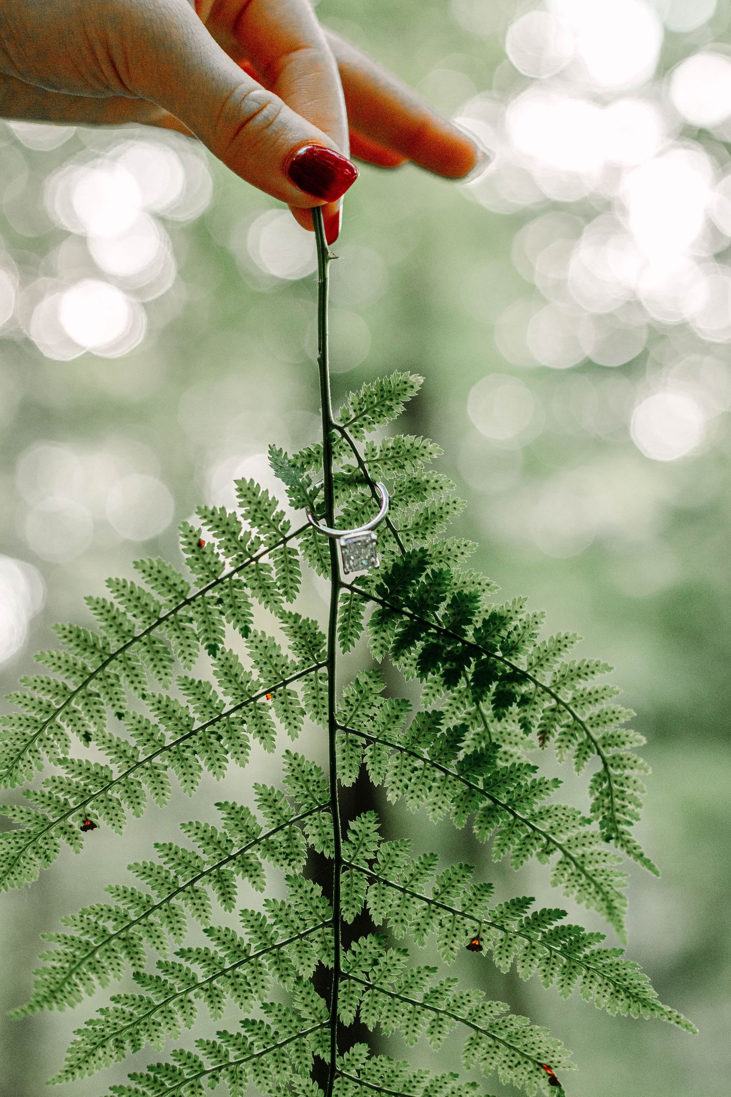 Hand with red nails holding a fern frond with a diamond ring hanging from its stem against a bokeh forest background.
