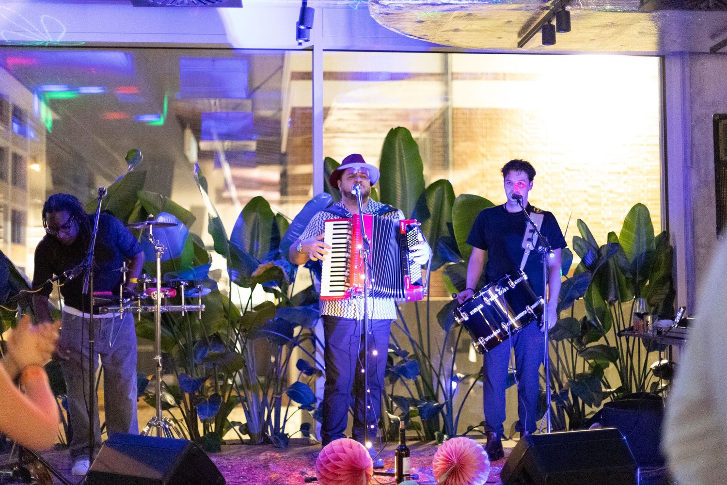 Band performs on stage with tropical plants and blue lighting.