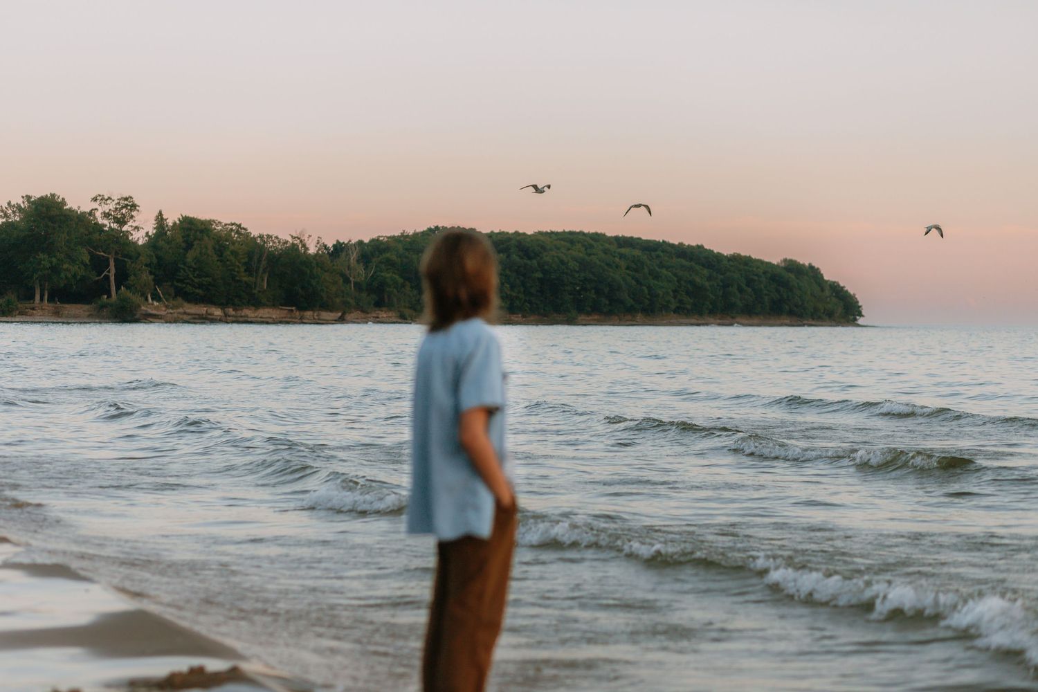 Person standing on a beach at sunset watching birds and kites fly over calm water.