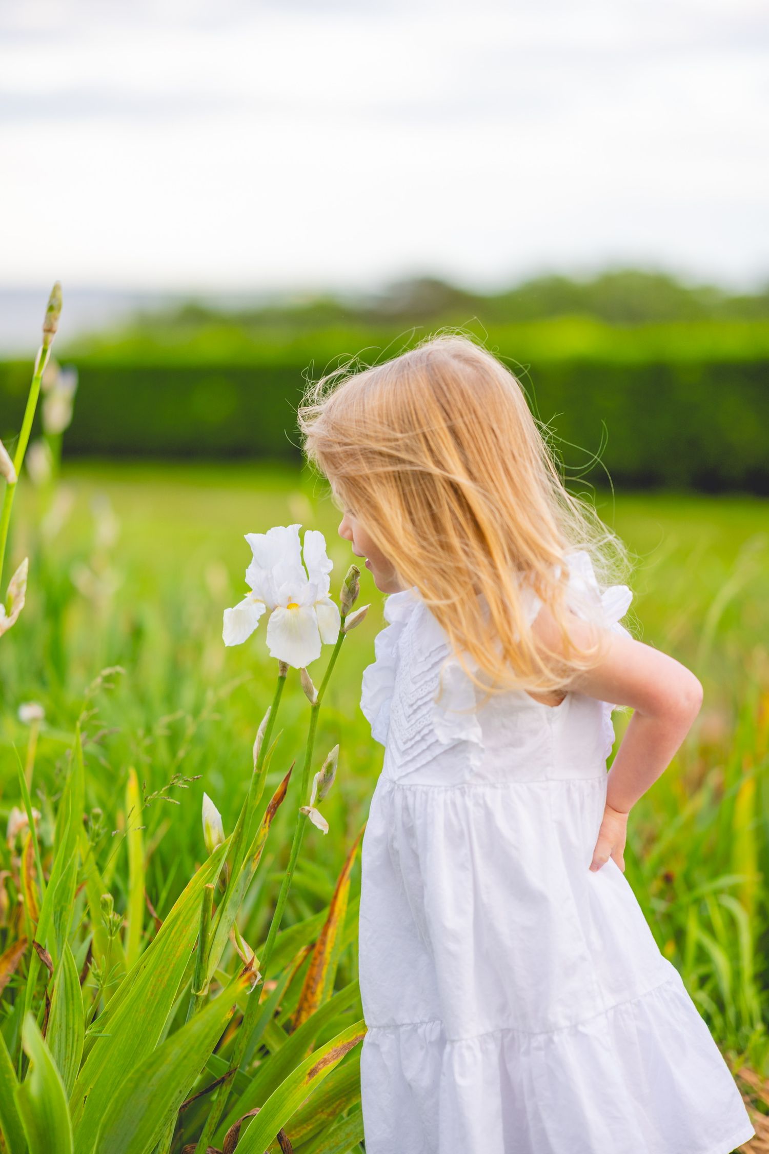 Young child in white dress playing in a green field with flowers on a sunny day for family photoshoot.