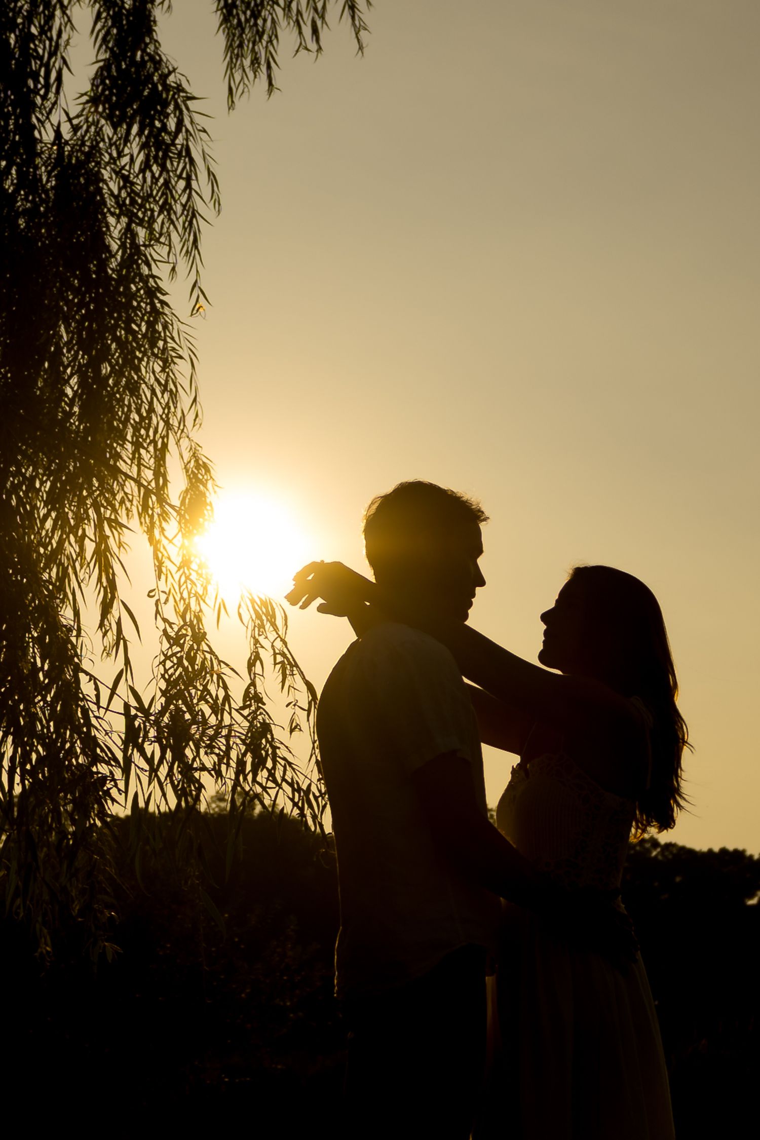 Silhouettes of a romantic couple against a sunset sky with willow branches hanging above them.