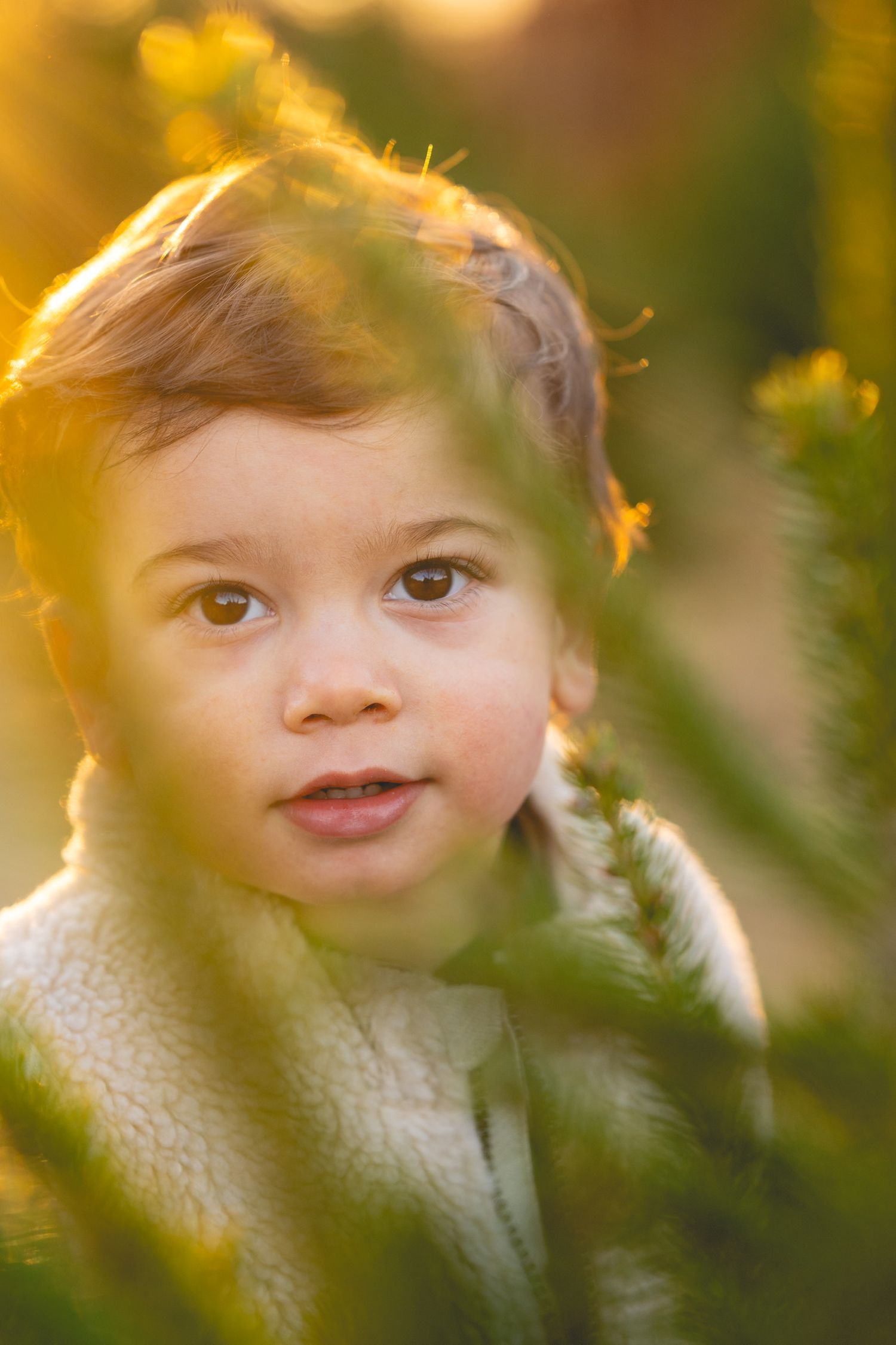 Sunlit portrait through leaves and flowers in garden setting.