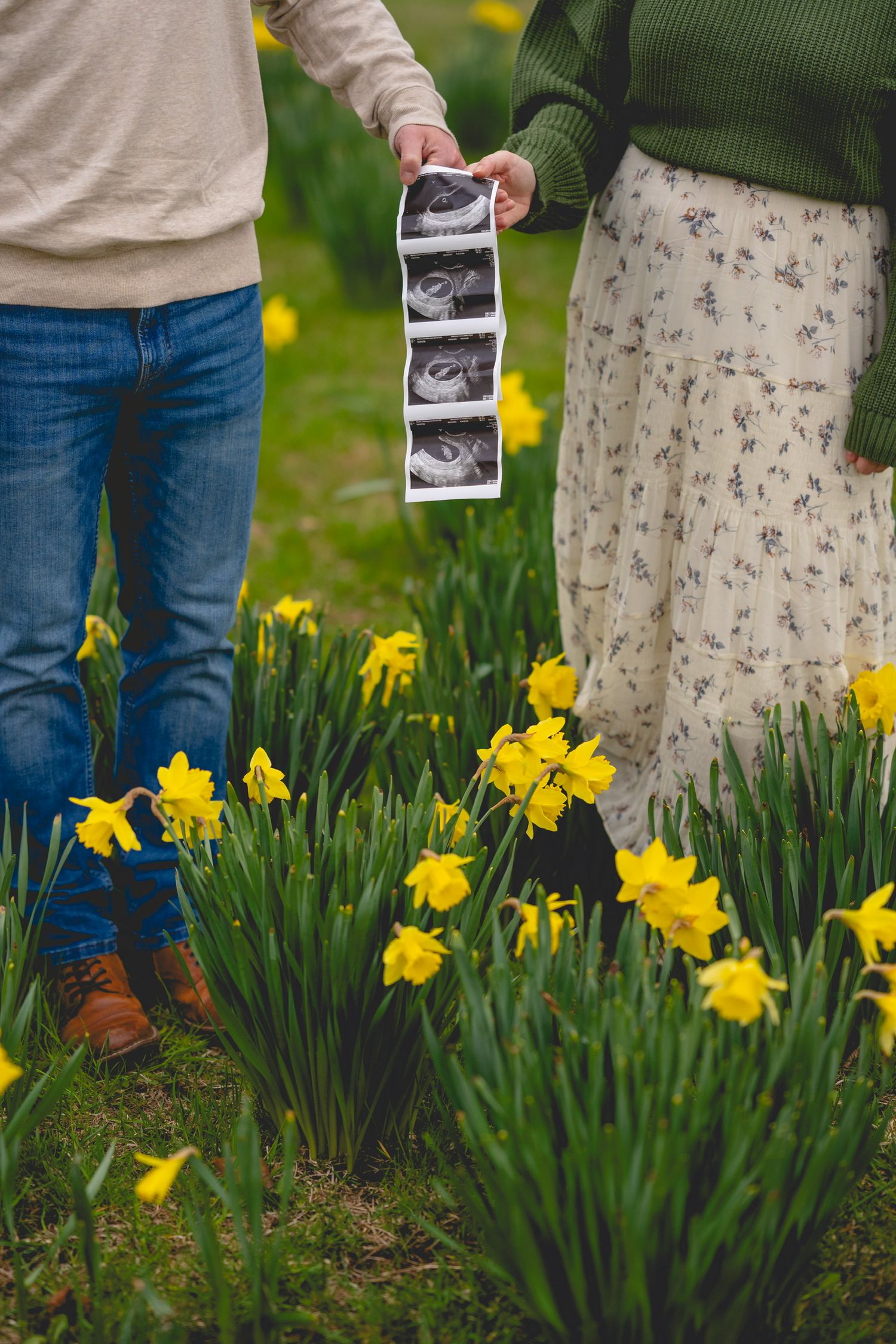Couple holding ultrasound photos among spring daffodils.