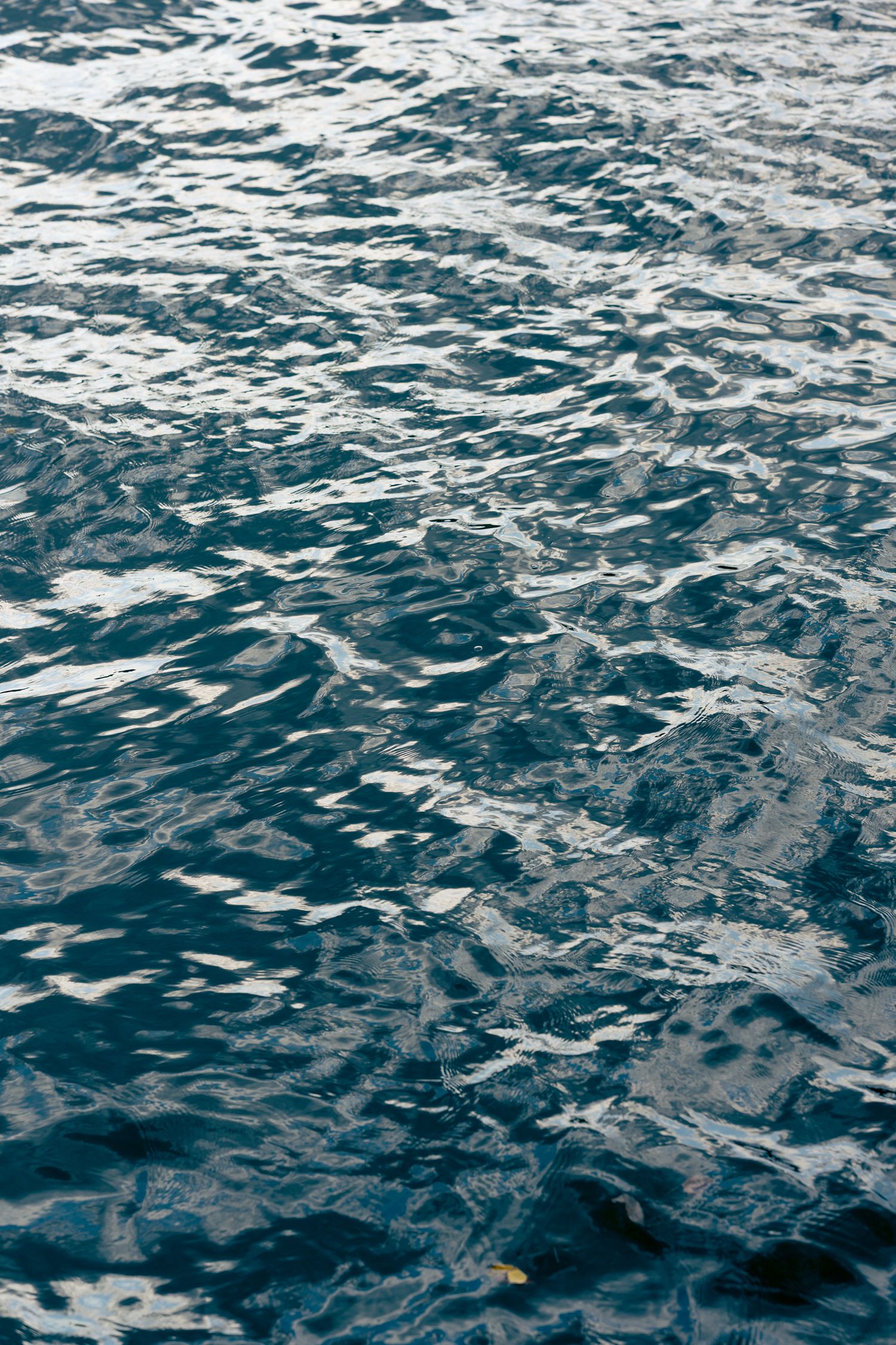 Rippling dark blue ocean water with sunlight reflecting off the textured surface.
