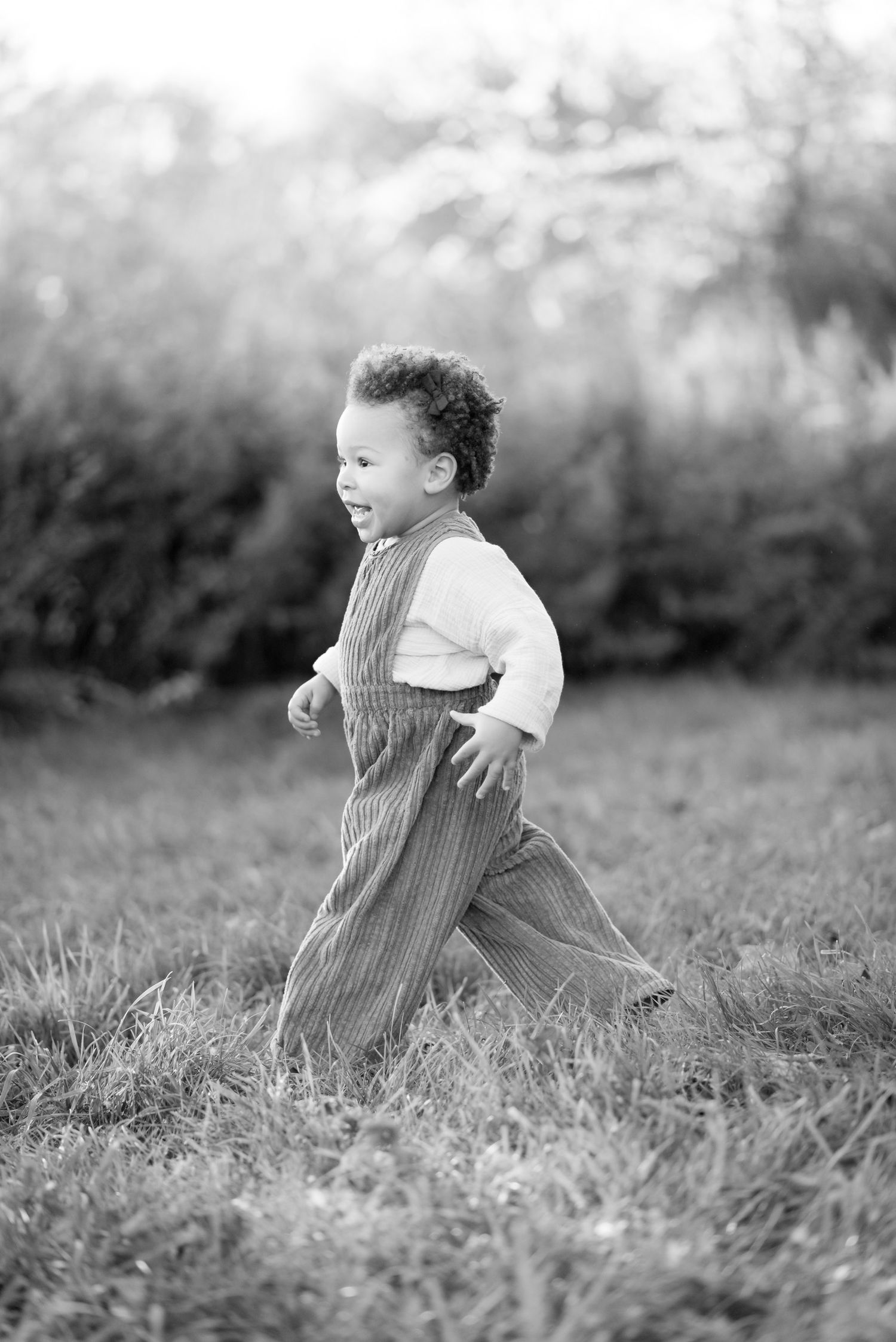 Black and white photos of toddler playing in tall grass for family photoshoot.