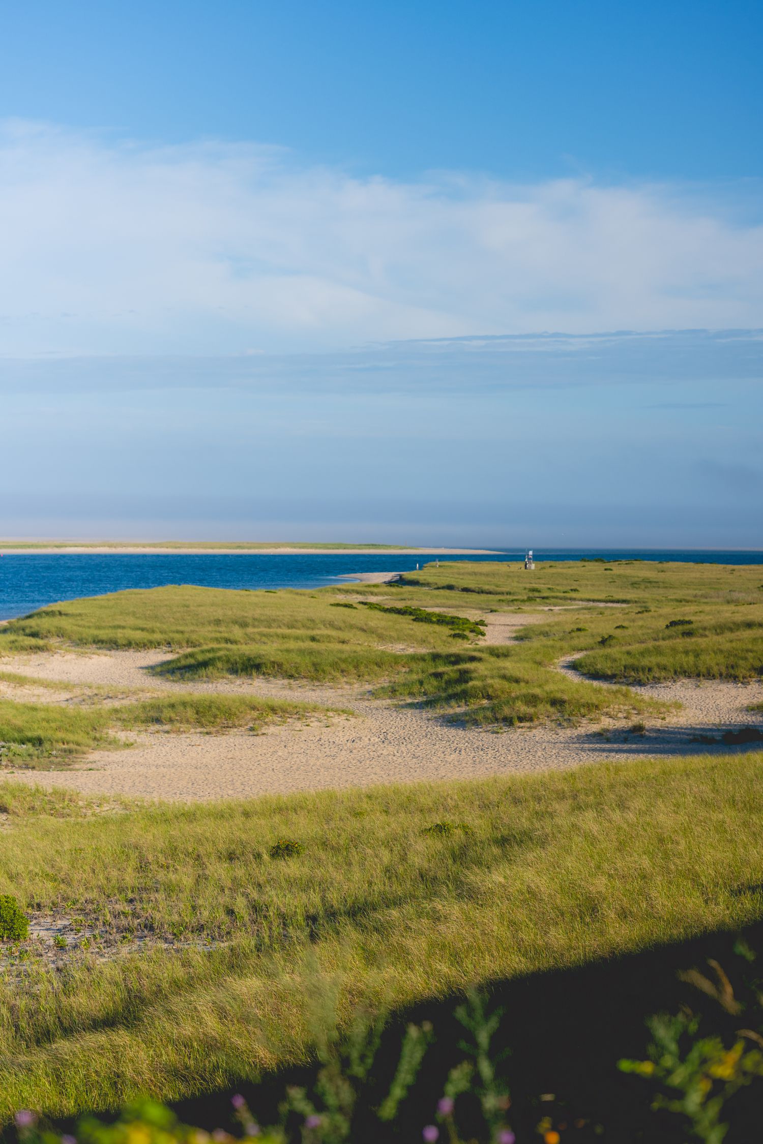 Panoramic coastal landscape with green marshland and sand dunes stretching towards the ocean under bright blue skies.